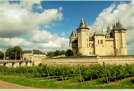 wine article Loire