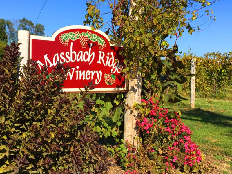 wine article Massbach Ridge Winery